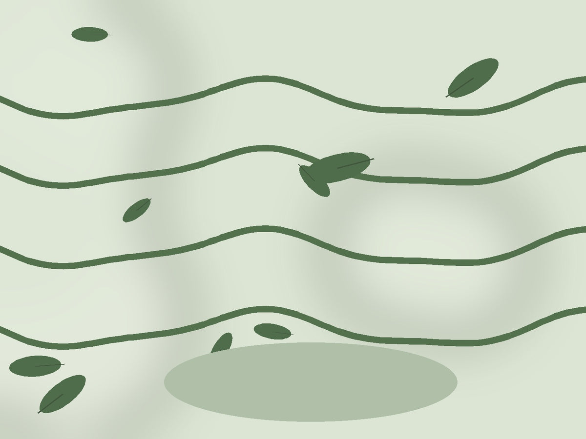 Vetiver and green botanical visual for Onni Gloss Conditioner
