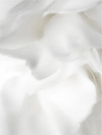 Onni Bioactive Prebiotics Jelly Serum ingredient close-up detail