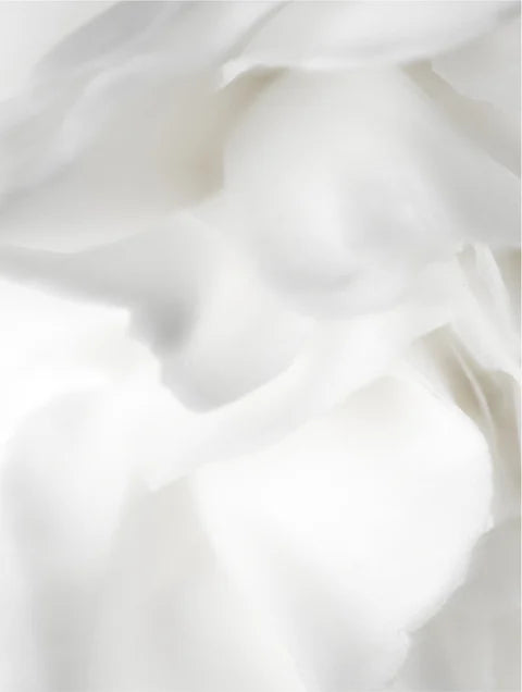 Onni Bioactive Prebiotics Jelly Serum ingredient close-up detail