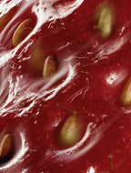 Onni Peptide Anti-Aging Serum ingredient close-up detail