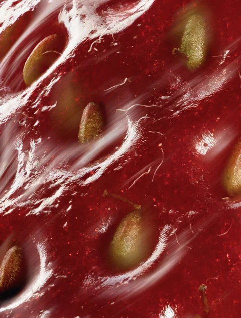 Onni Peptide Anti-Aging Serum ingredient close-up detail